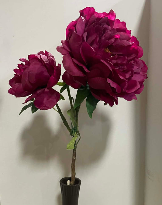 84250-BG - 30" Peony Spray