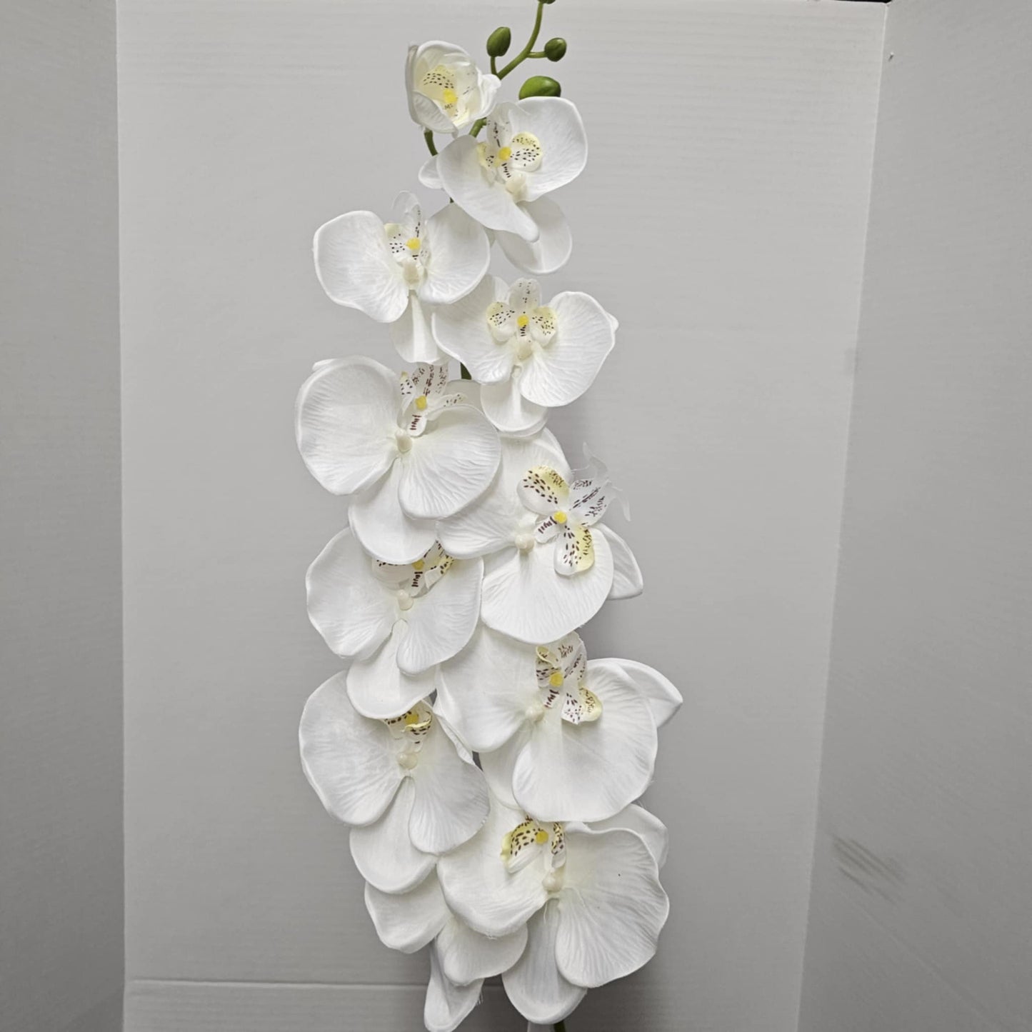 48" Orchid Spray