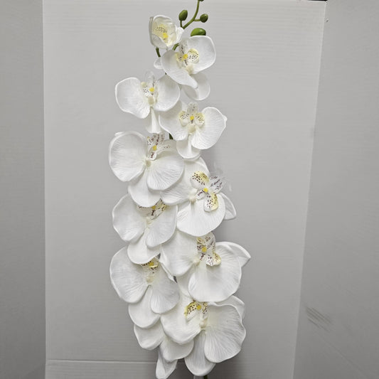 48" Orchid Spray