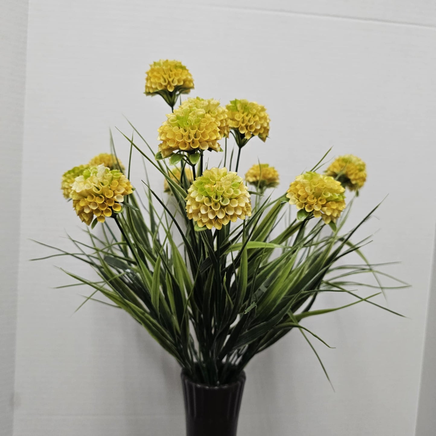 22" Mixed Dahlia Bush