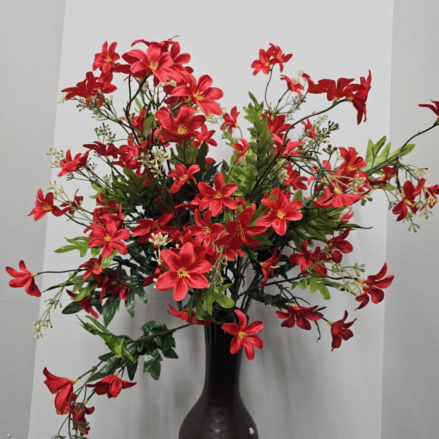 Stardrift Bush