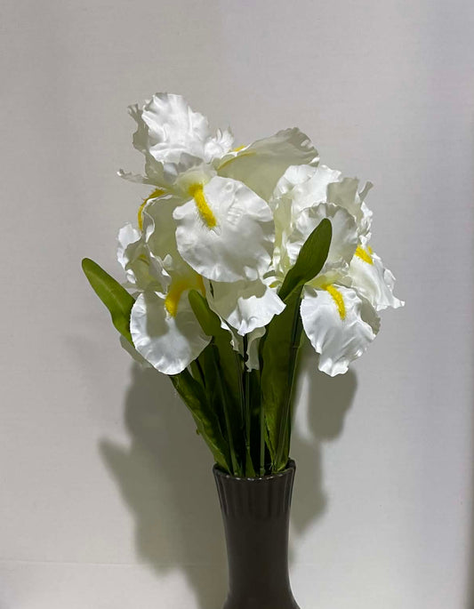 106109CM - Satin Iris Bush