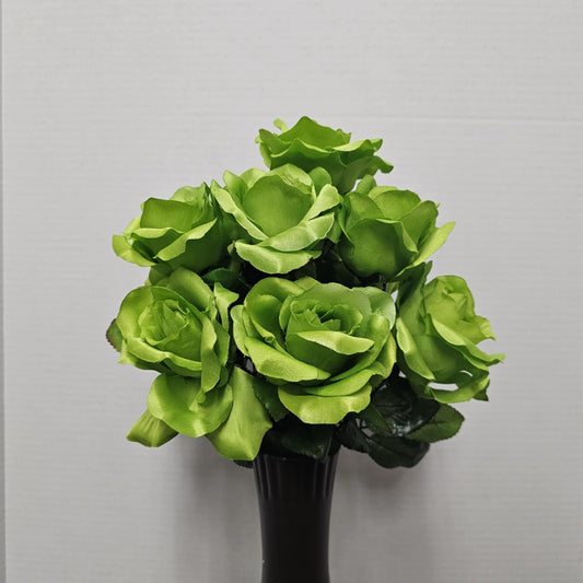 Rose Bush - 655964GRN