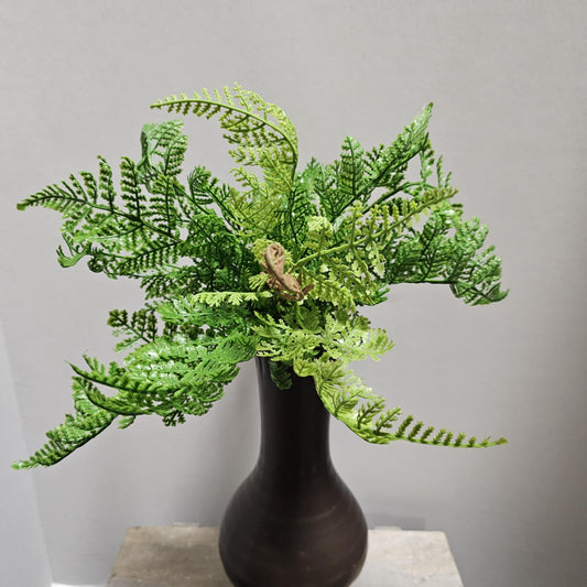 13" Sword Fern Bush