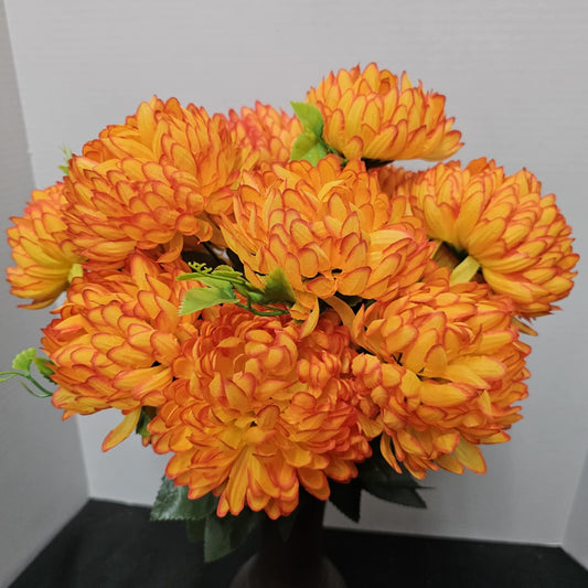 95783-OR - Mum Bush