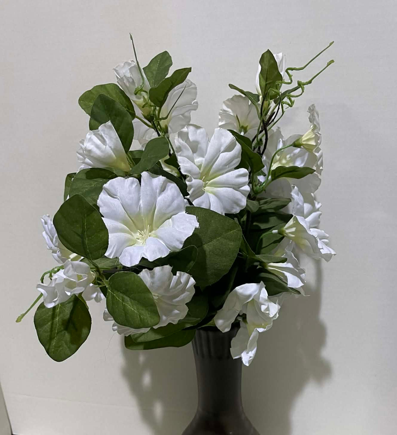 60074-CR - 23" Morning Glory Bush