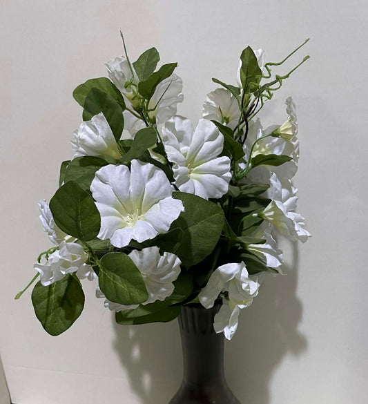 60074-CR - 23" Morning Glory Bush