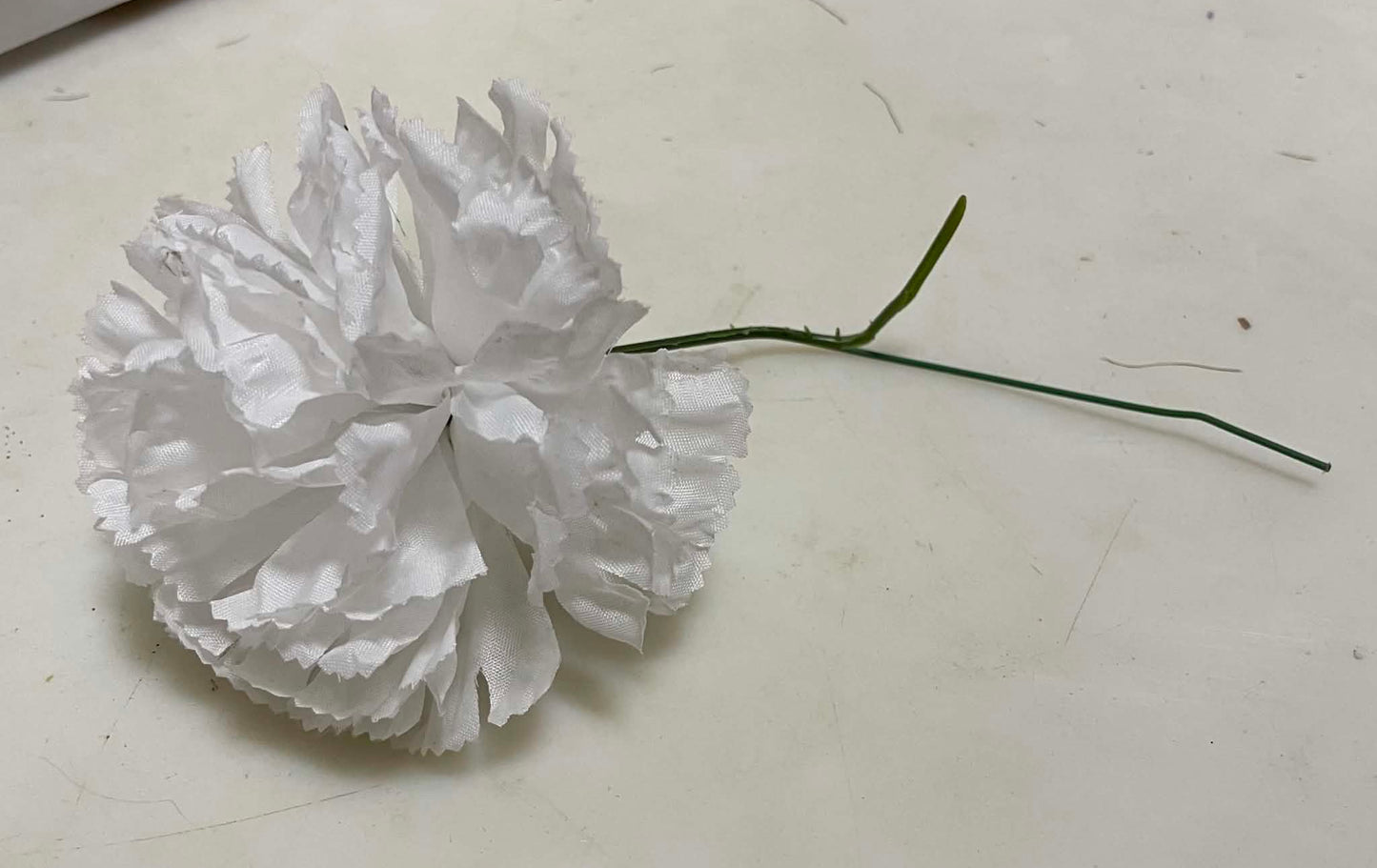 20104-WT - 4.25" Carnation Pic