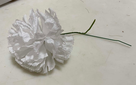 20104-WT - 4.25" Carnation Pic