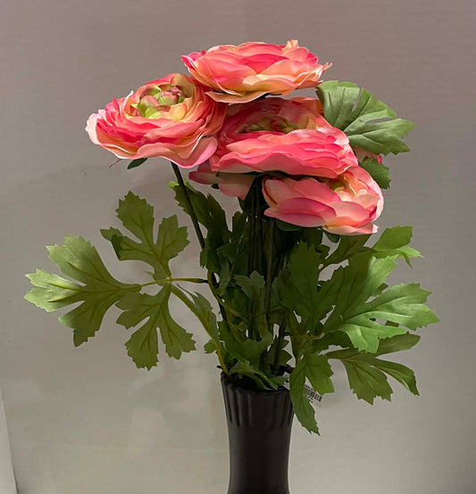 81069-PK - 21" Ranunculus Bush