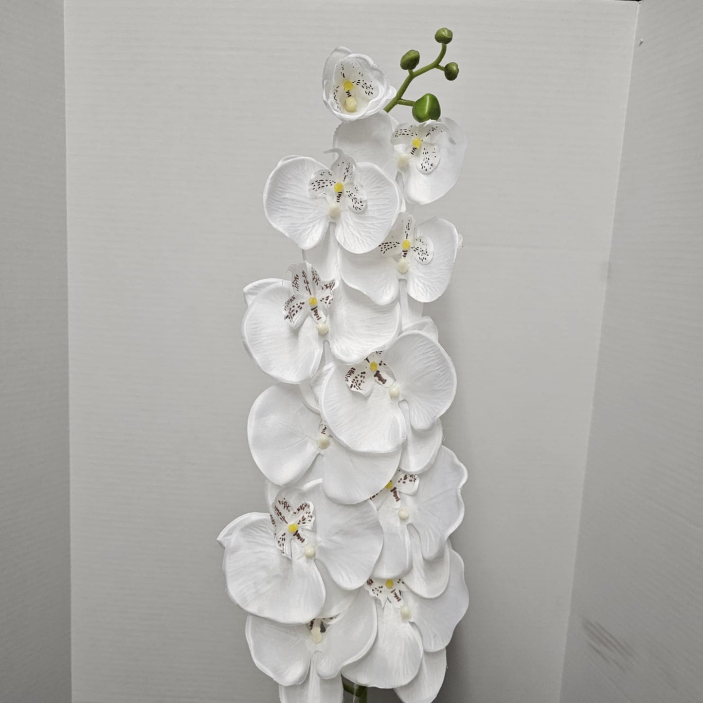48" Orchid Spray