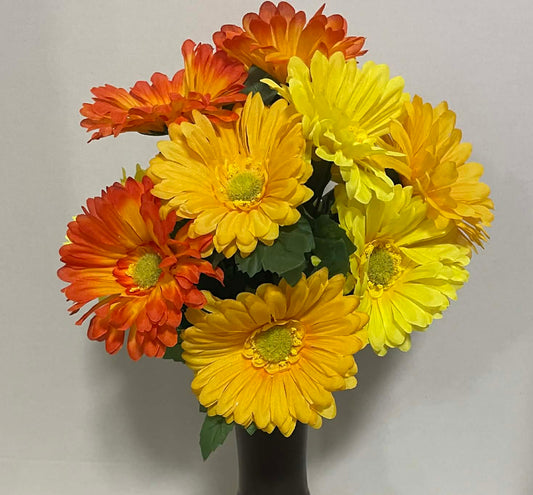 54834-OR/YW - 19" Gerber Daisy Bush