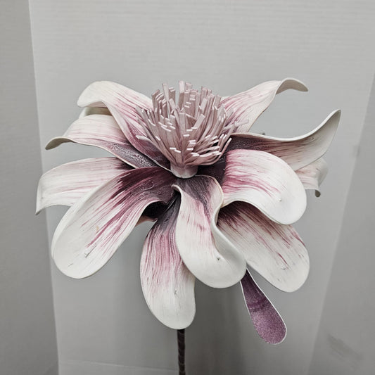 Exotic Magnolia