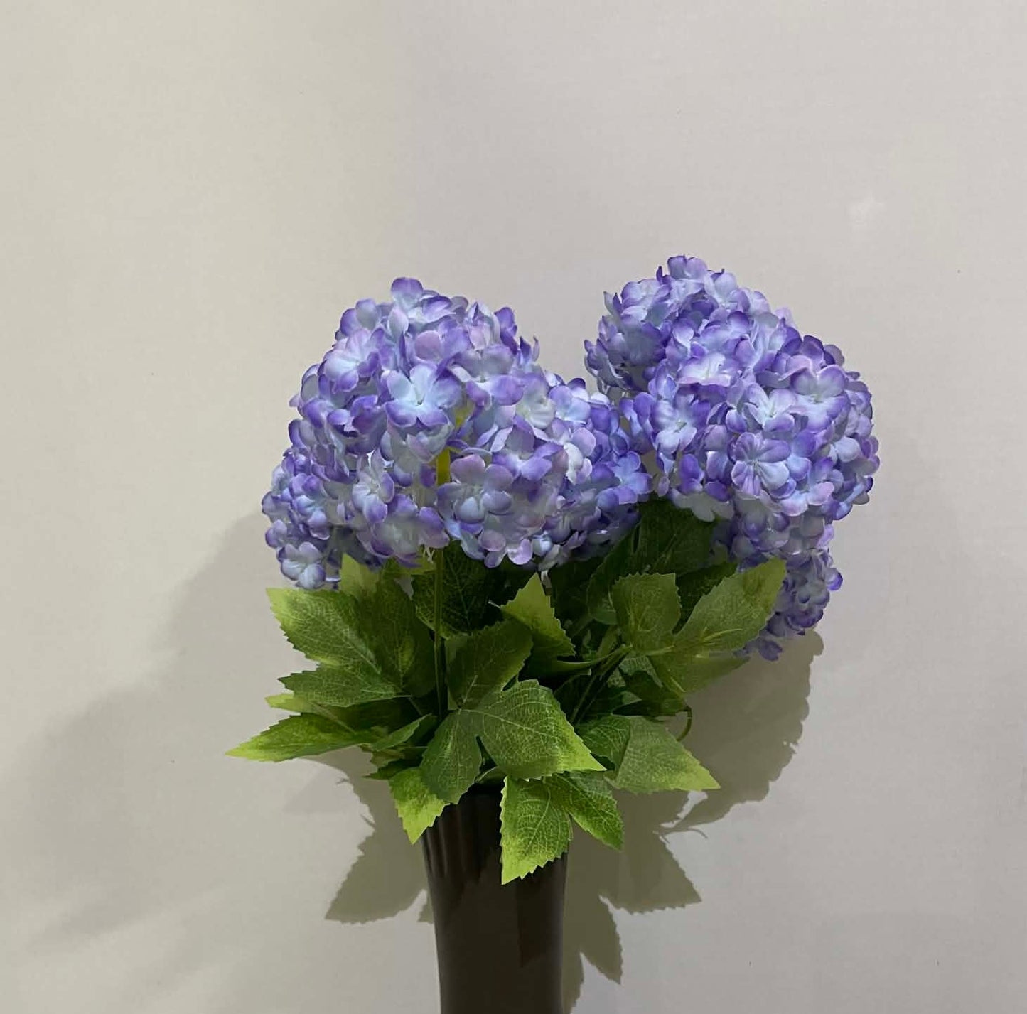 44303PUR - Snow Ball Bush