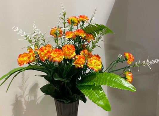 36343-OR - Mini Mum Bush