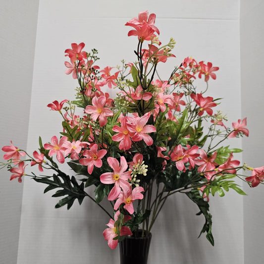 Stardrift Bush - GPB24370-CORAL