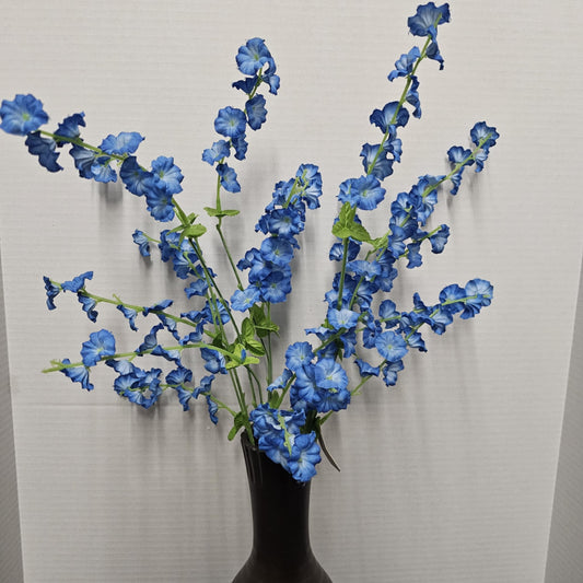 41668-GA3824-BL - Small Morning Glory Bush