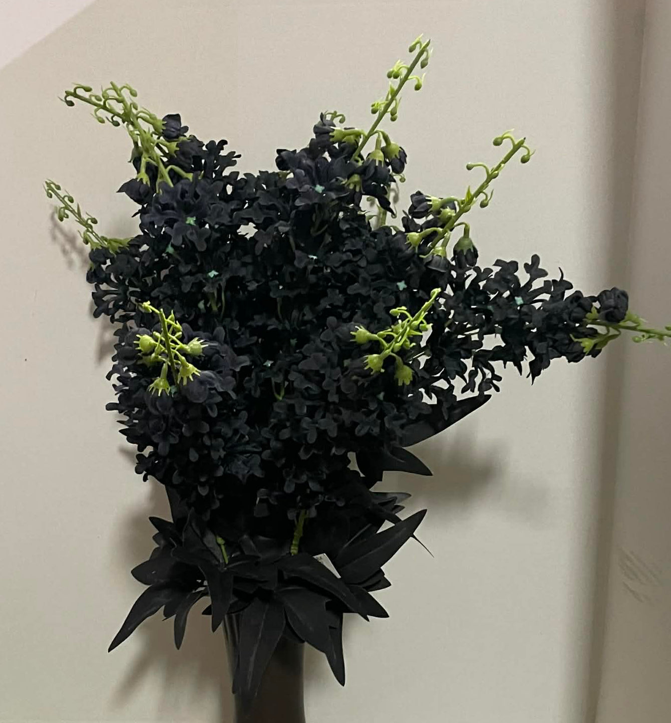 B21408-BLK - Delphinium