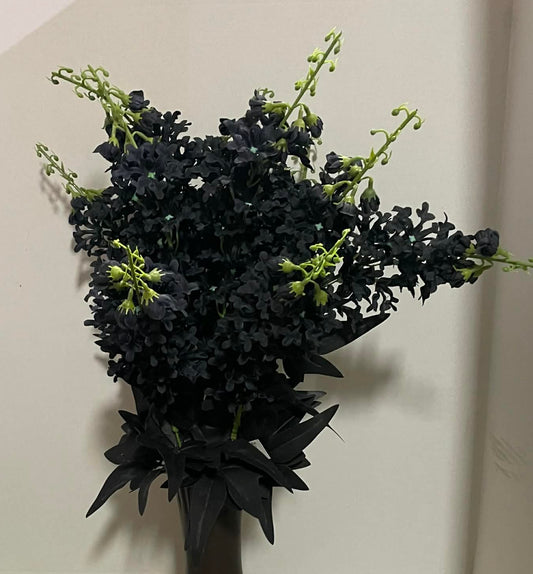 B21408-BLK - Delphinium