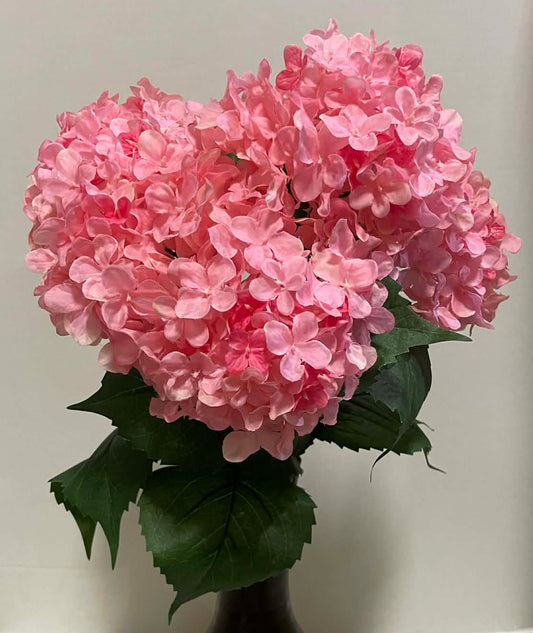30334PK - 19" Hydrangea Bush