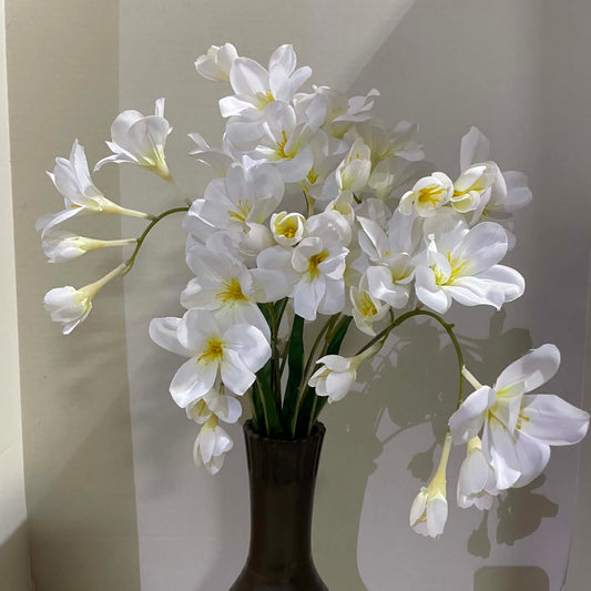 106286-WHITE - Freesia