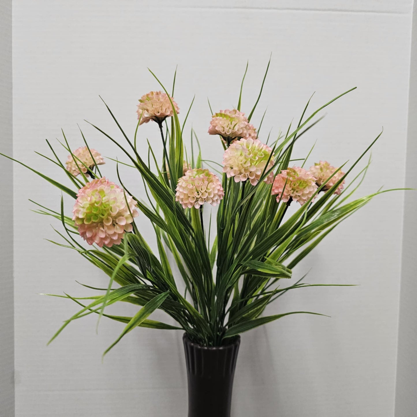 22" Mixed Dahlia Bush