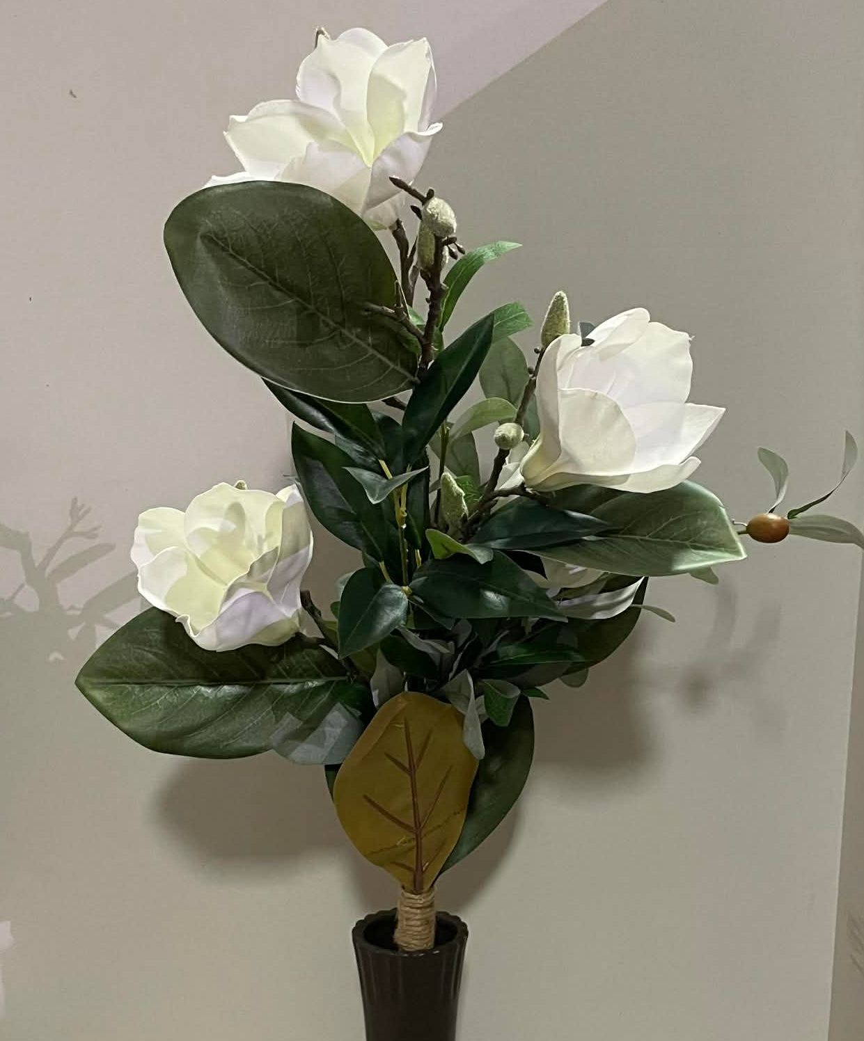 83538-CM - Magnolia Bush