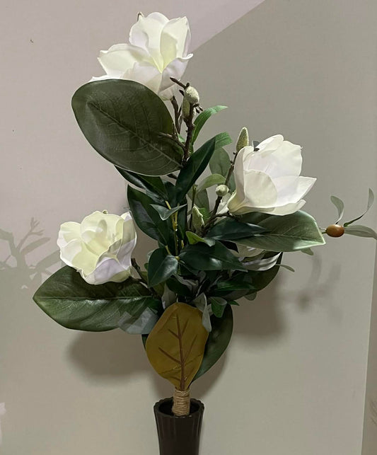 83538-CM - Magnolia Bush