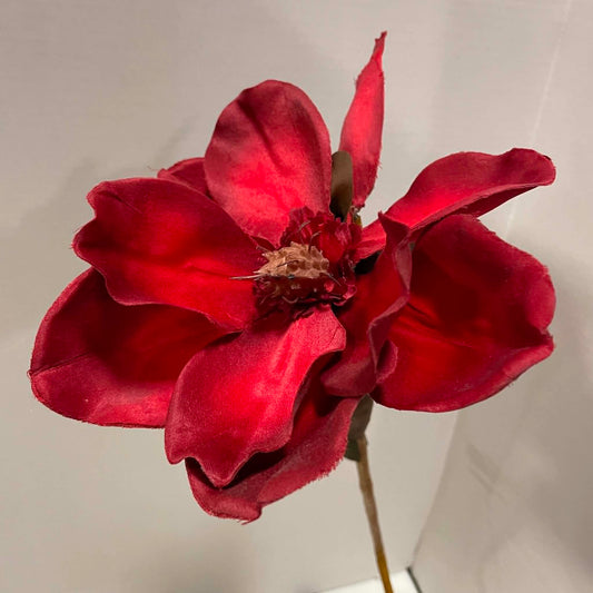 CRB12420/YL-RED - 36" Magnolia Spray