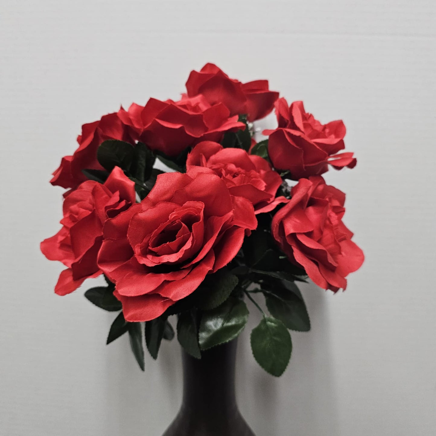 Rose Bush