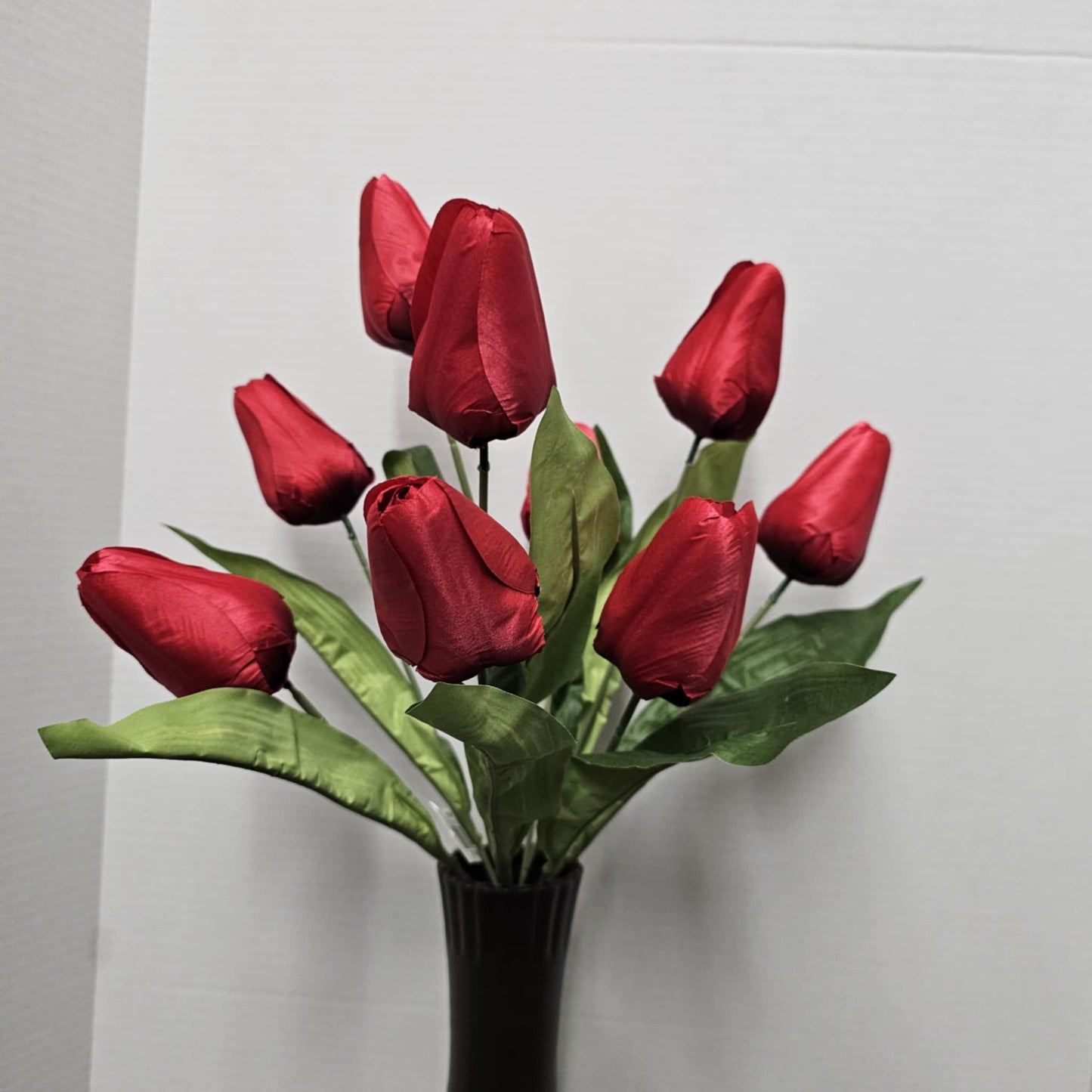 21" Tulip Bush