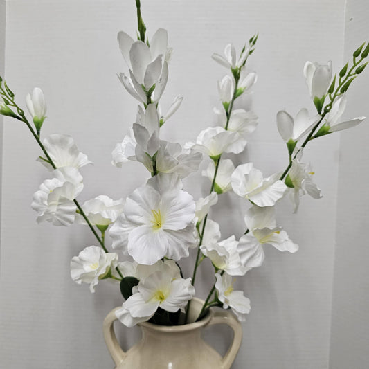 Gladiola Bush