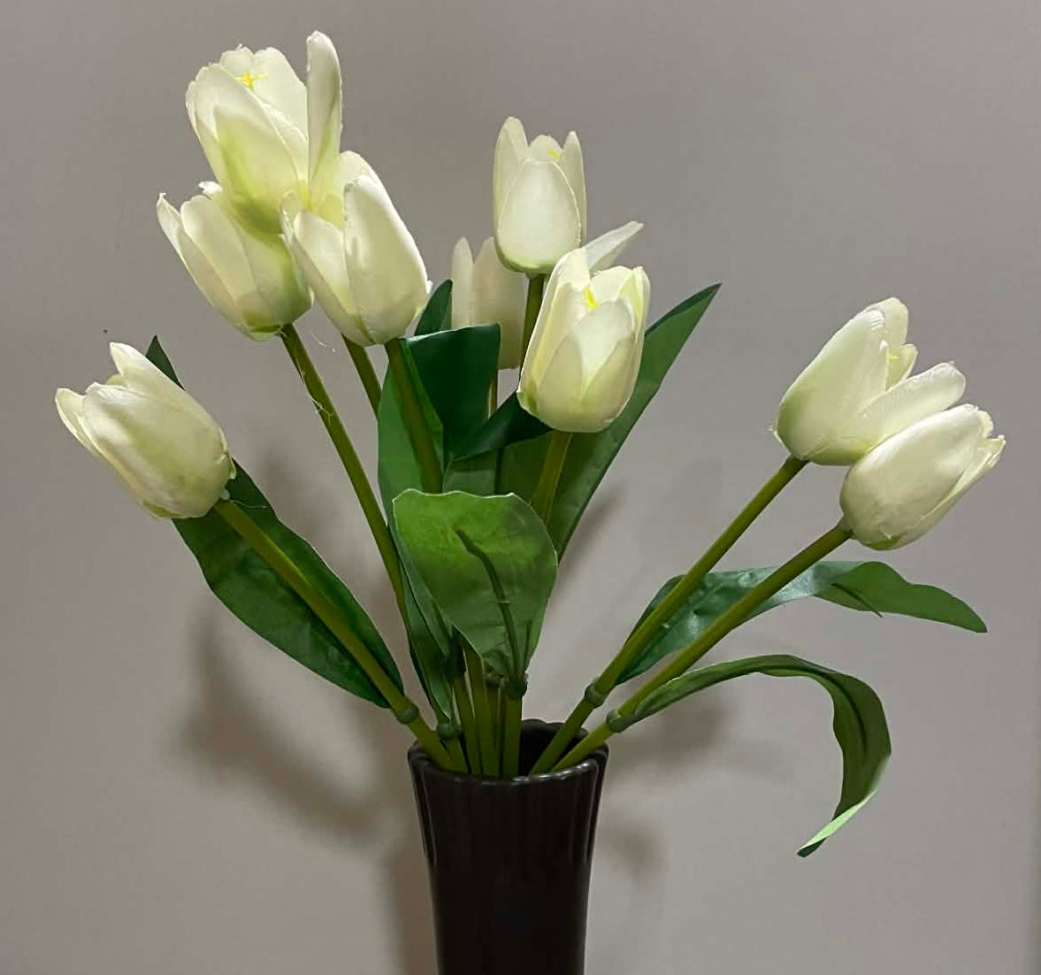 SB2375-CRM - 16" Tulip Bush