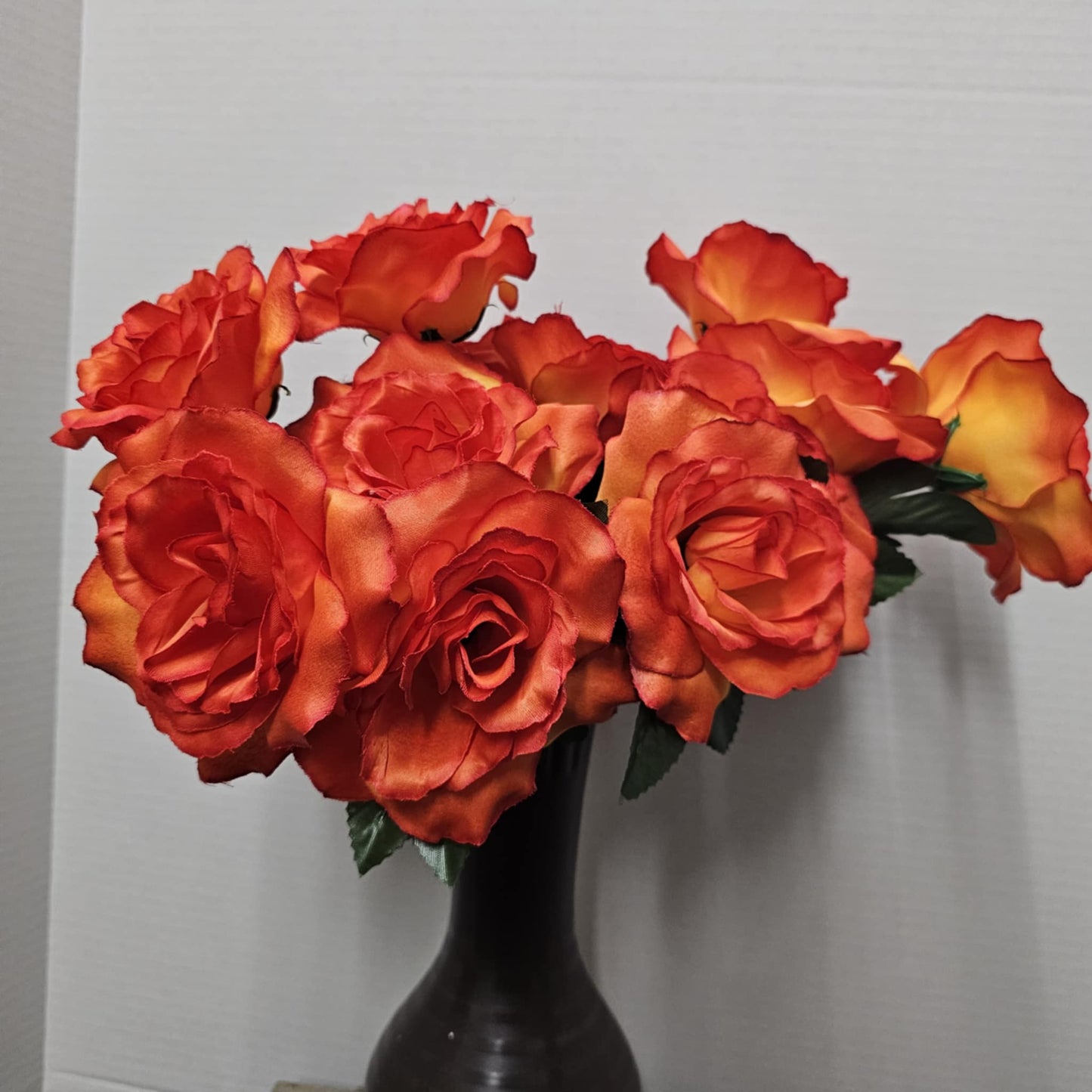 Rose Bush