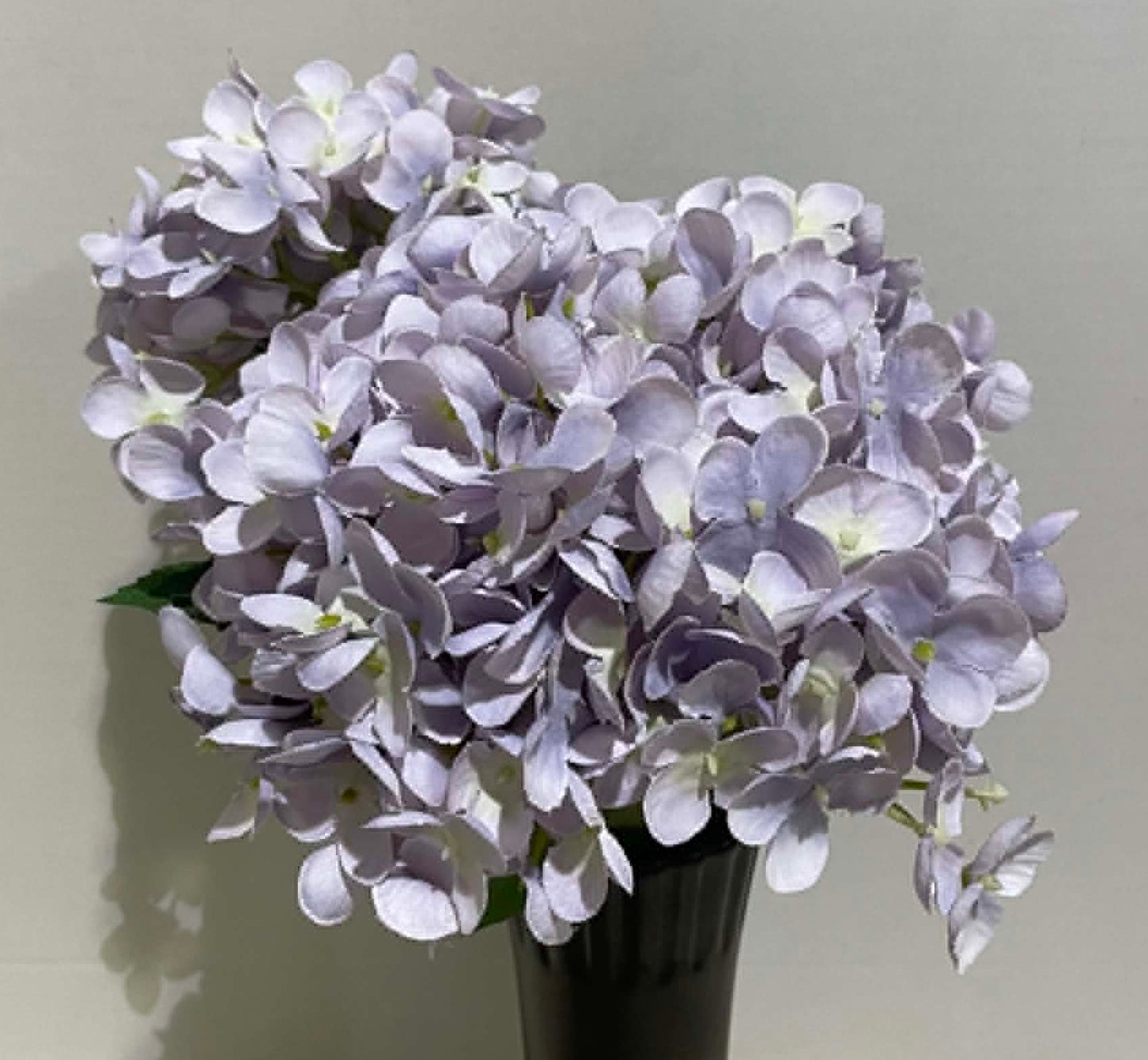 193052-LV - Hydrangea Bush