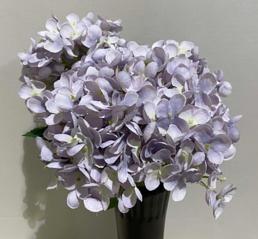 193052-LV - Hydrangea Bush