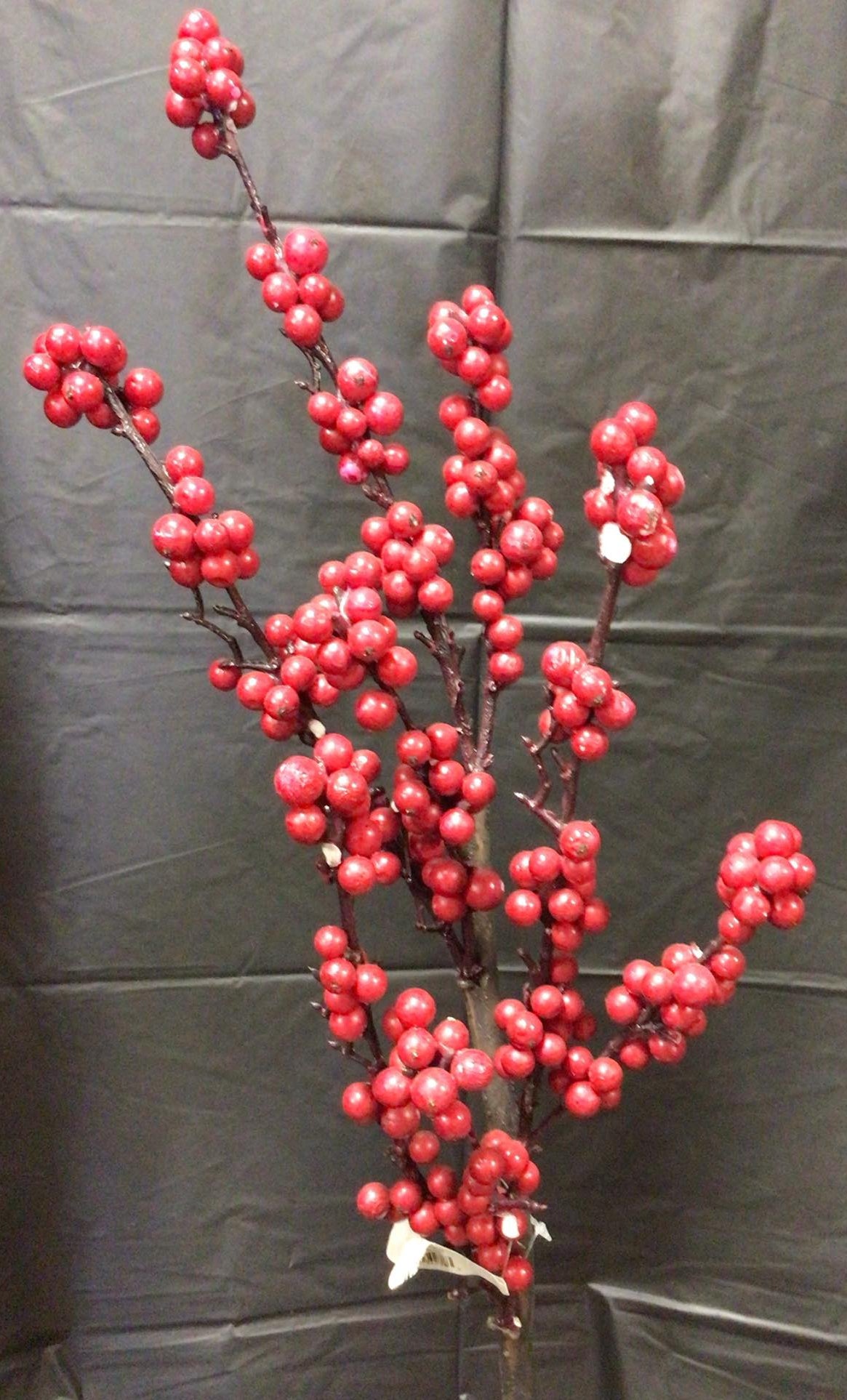 2827151RD - Red Berry Spray