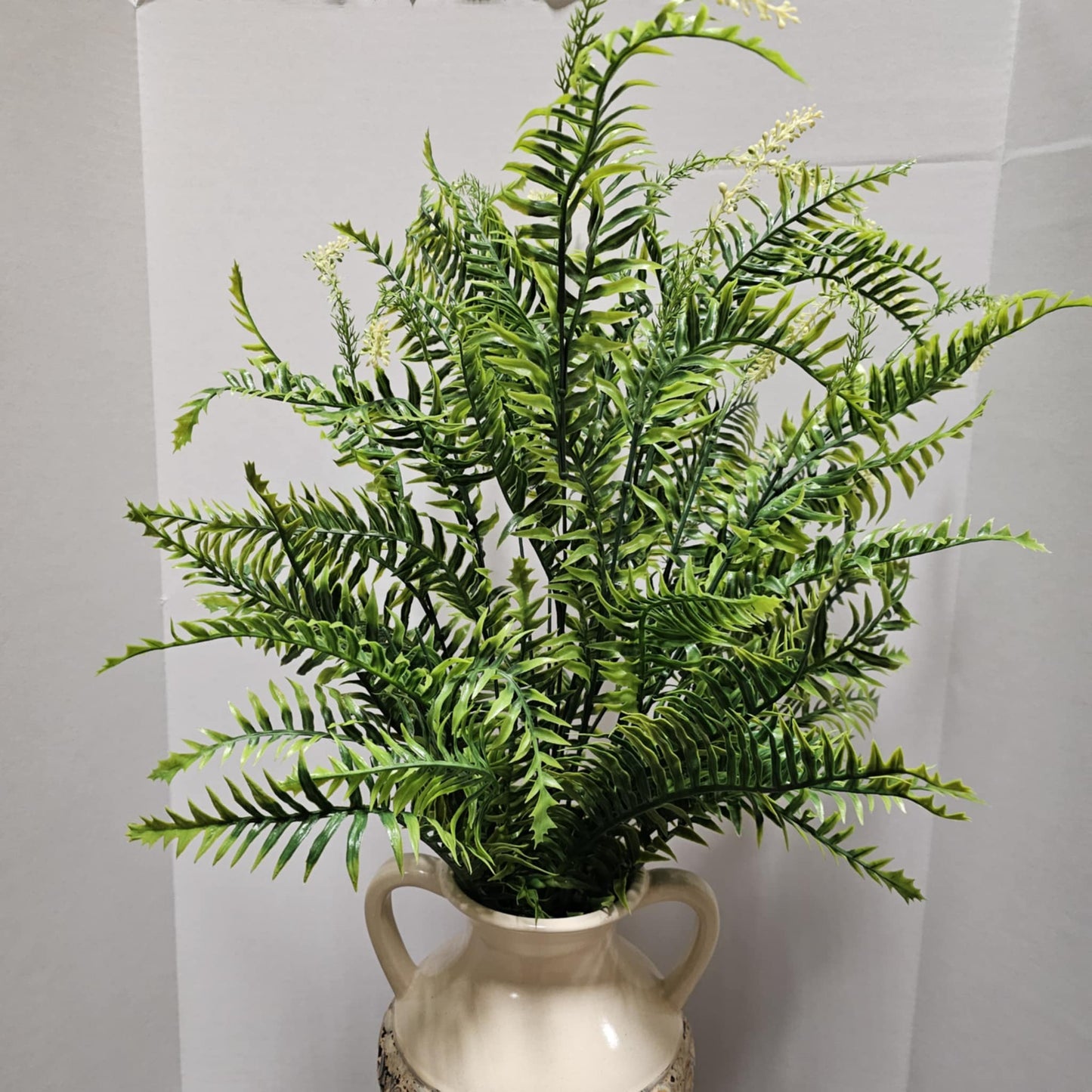 Large Mix Fern Bush