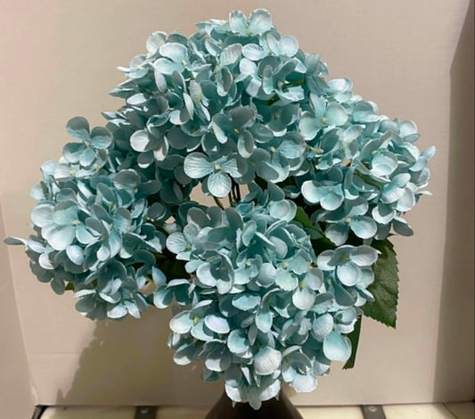 193052-TEAL - Hydrangea Bush