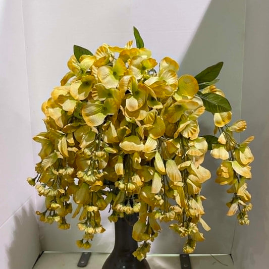 GPB392-NUTMEG - Wisteria Long Hanging Bush