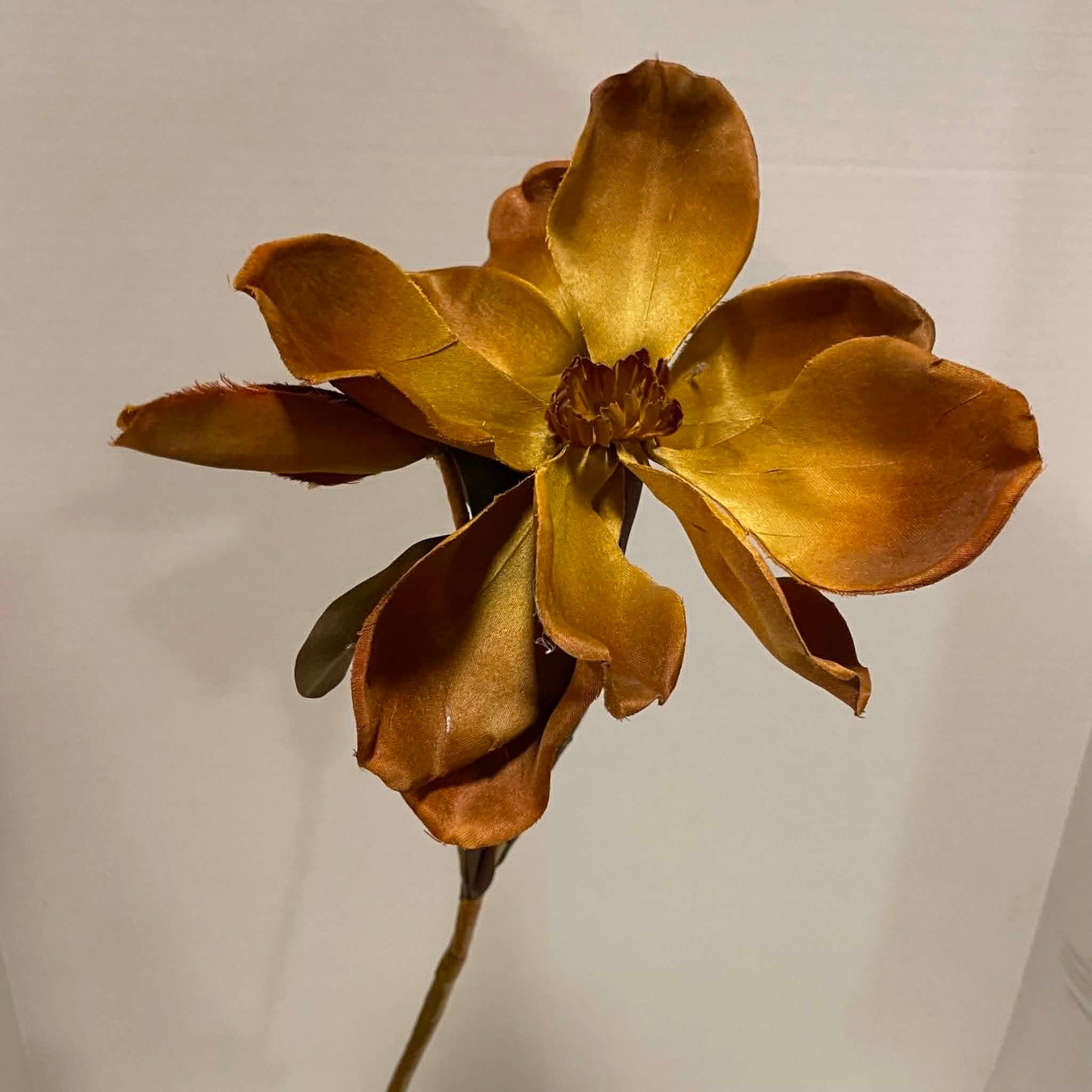 CRB12420/YL-BROWN - 36" Magnolia Spray