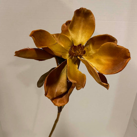 CRB12420/YL-BROWN - 36" Magnolia Spray