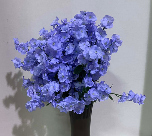 AJ331 - BBFLS Spray with 32 heads