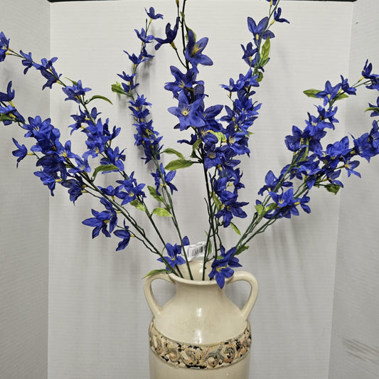 Star Bush