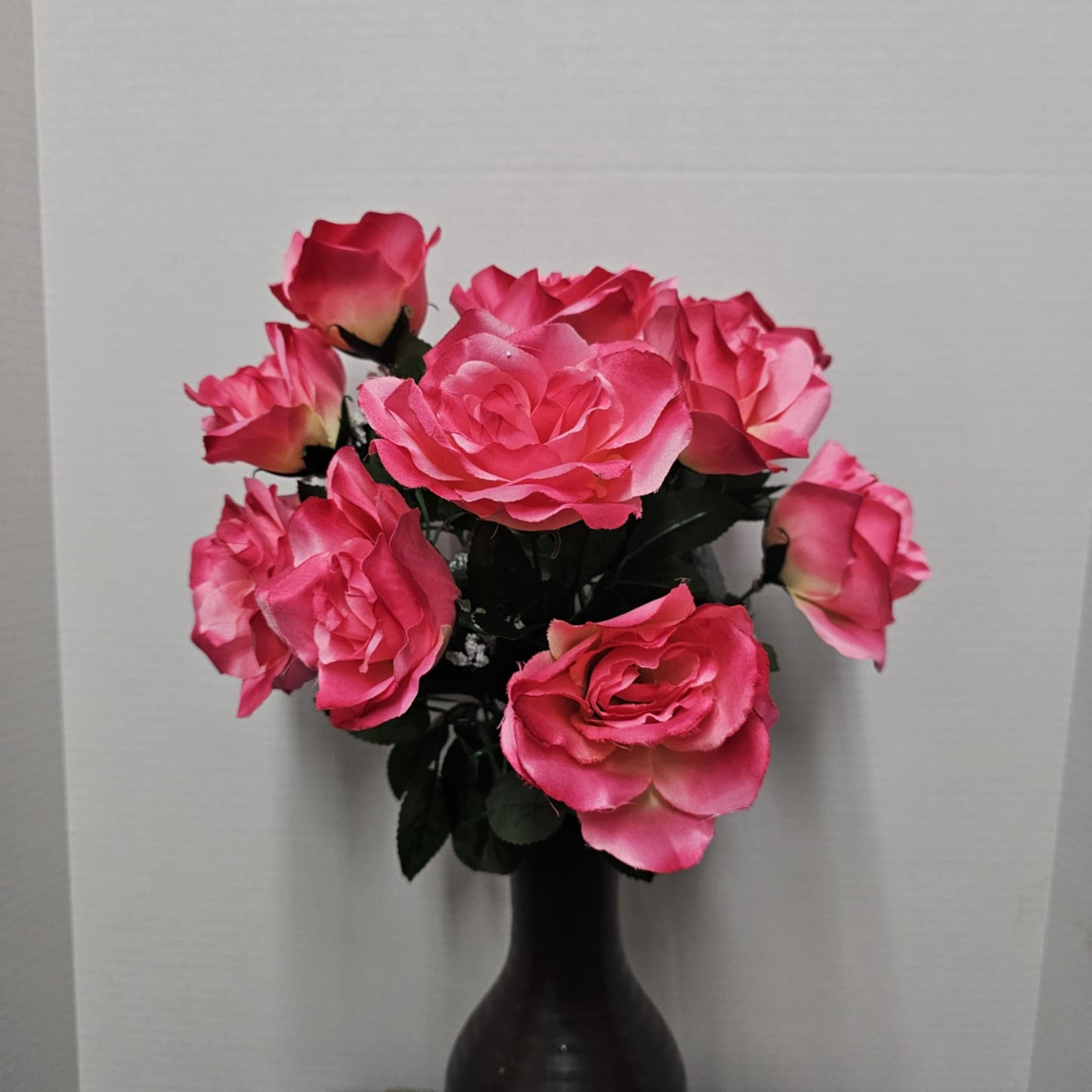 Rose Bush