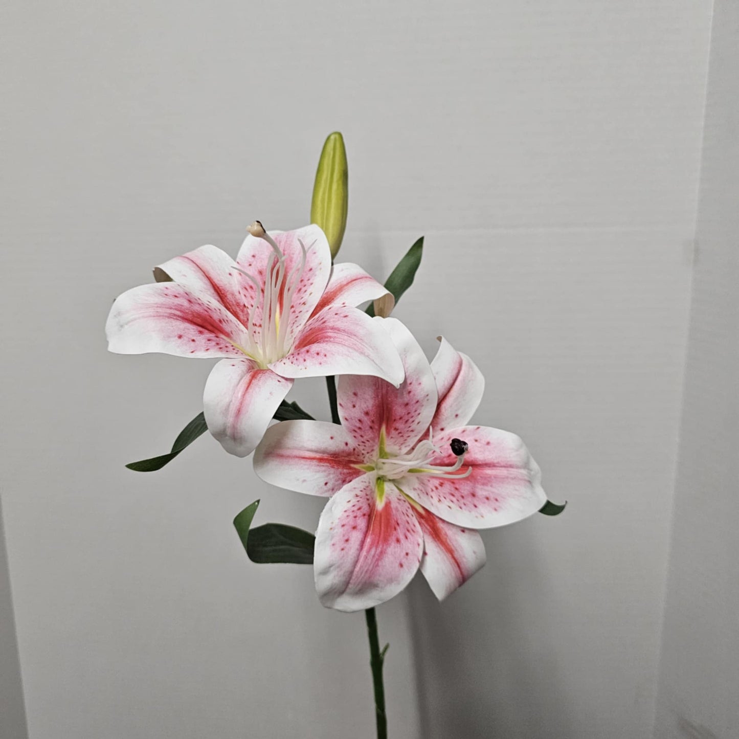 28" Tiger Lily
