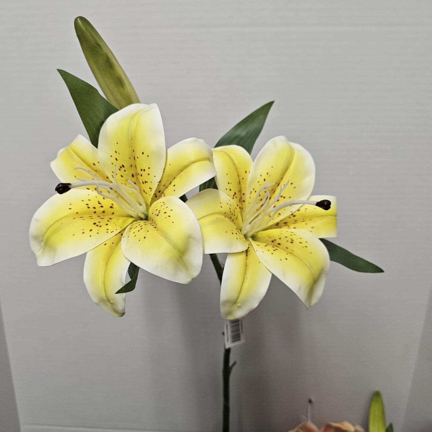 28" Tiger Lily