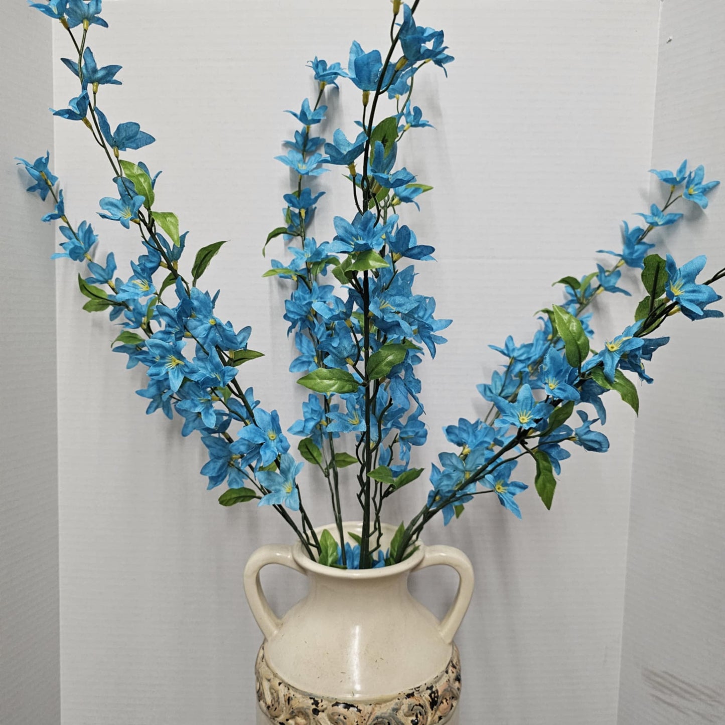 Star Bush
