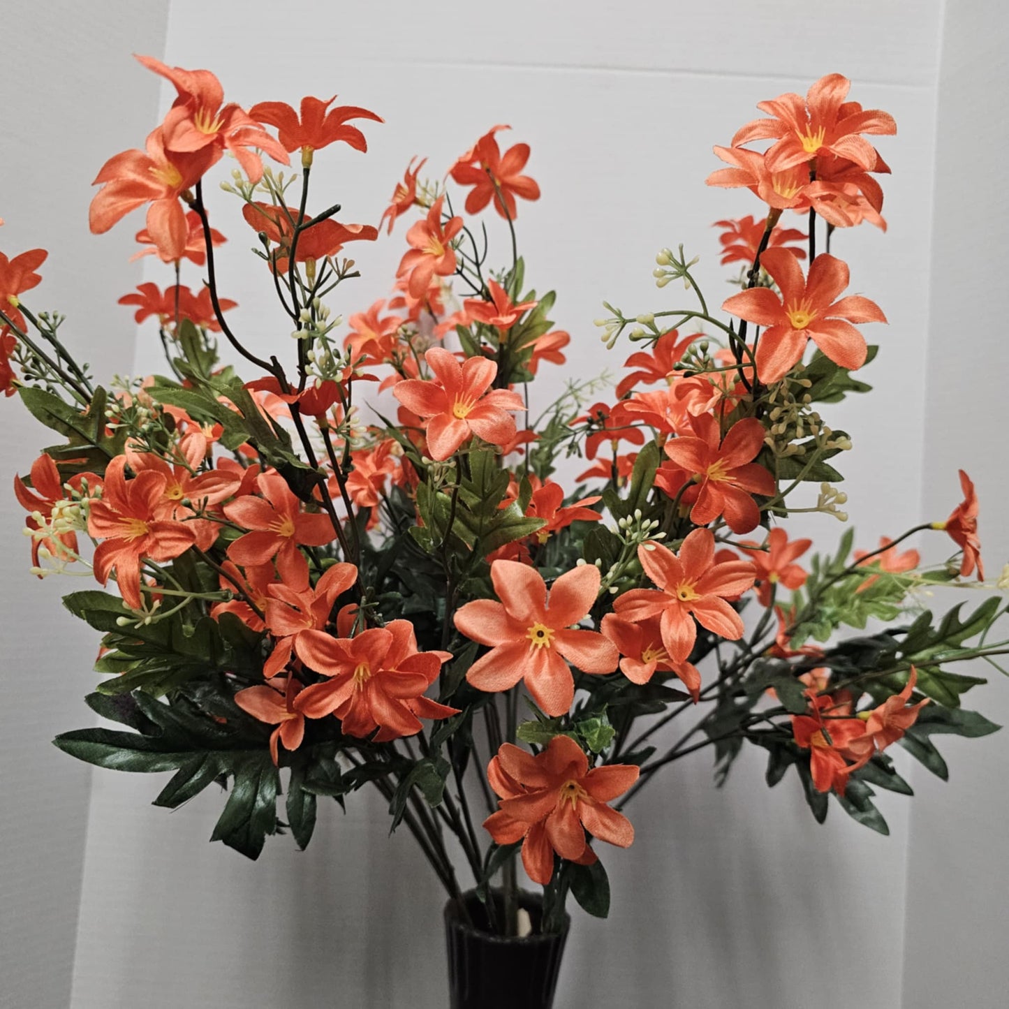 Stardrift Bush