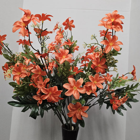 Stardrift Bush - GPB24370-ORANGE#2